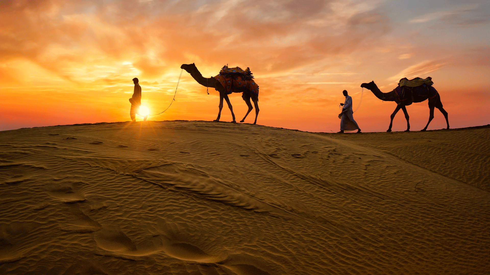 rajasthan-camels-desert-india-1658813619.gif