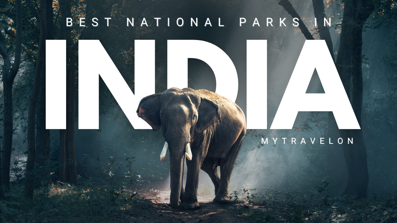 Into the Wild: 7 Best National Parks in India You Must Visit